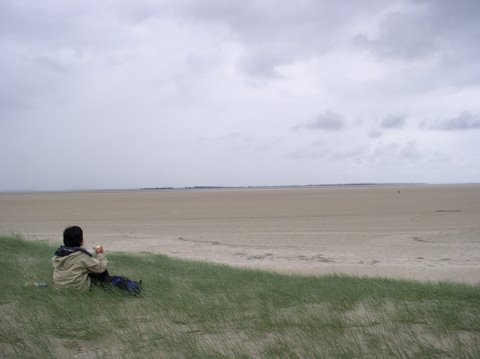 BaieSomme10027.jpg