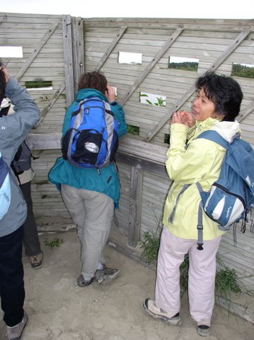 BaieSomme10032.jpg