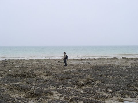BaieSomme1011.jpg