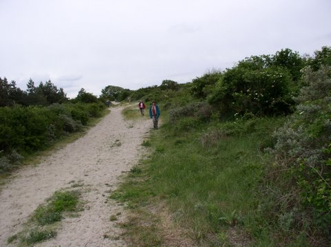 BaieSomme1027.jpg