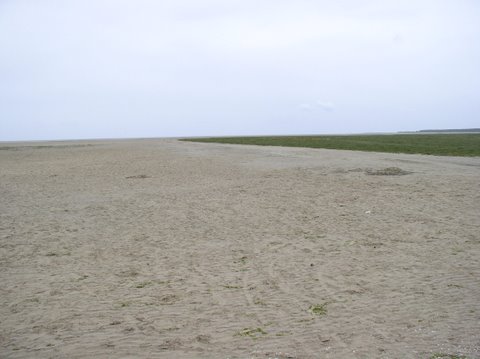 BaieSomme1034.jpg