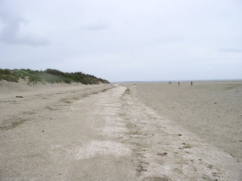 BaieSomme1035.jpg