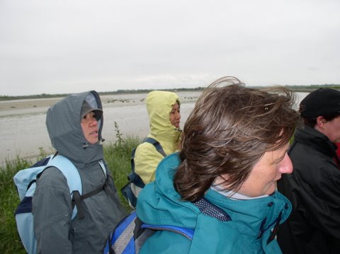 BaieSomme1039.jpg