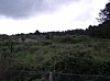 BaieSomme10004.jpg