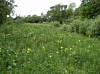 BaieSomme10035.jpg
