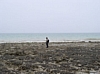 BaieSomme1011.jpg