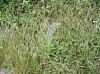 BaieSomme1028.jpg