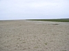 BaieSomme1034.jpg