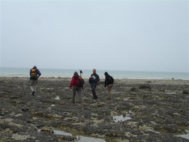 BaieSomme02713 .jpg