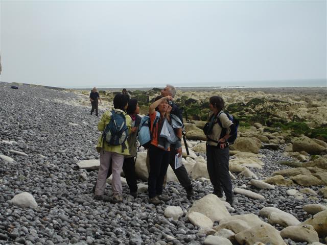 BaieSomme02719 .jpg