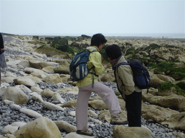 BaieSomme02722 .jpg