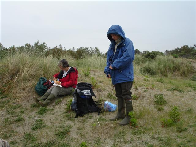 BaieSomme02730 .jpg