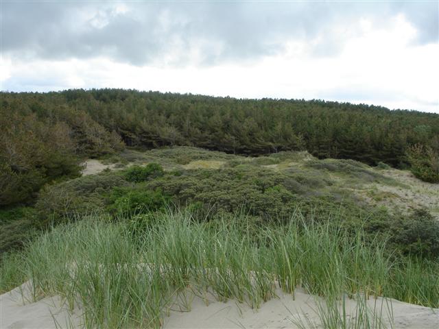 BaieSomme02752 .jpg