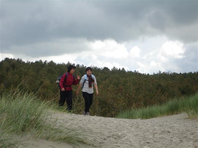 BaieSomme02756 .jpg