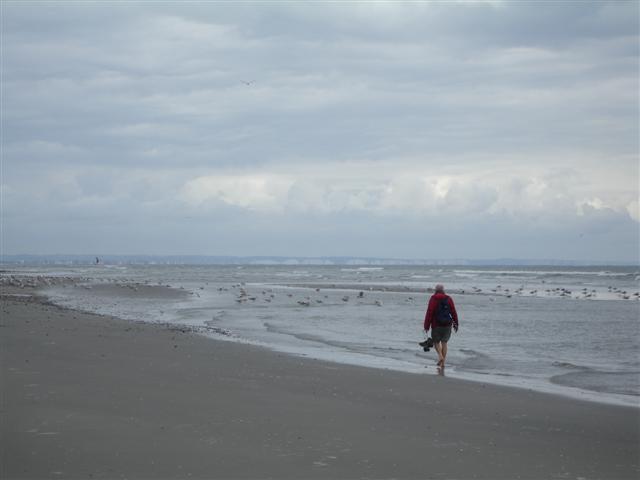 BaieSomme02759 .jpg