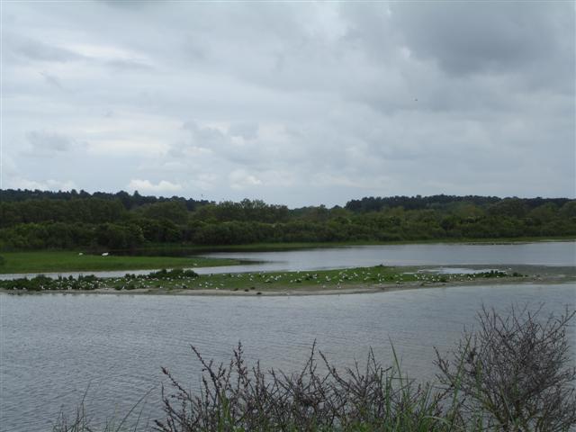 BaieSomme02762 .jpg