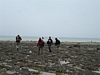 BaieSomme02713 .jpg