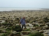 BaieSomme02715 .jpg
