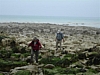 BaieSomme02716 .jpg