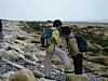 BaieSomme02722 .jpg