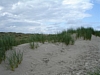 BaieSomme02751 .jpg