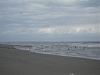 BaieSomme02758 .jpg
