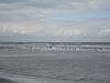 BaieSomme02760 .jpg