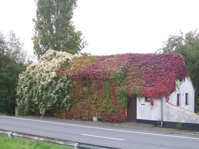 100_8689.JPG