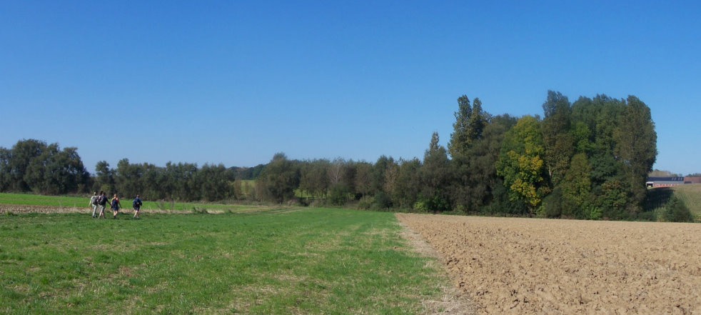 thieu8935.jpg