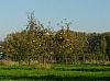 flobecq1579.jpg