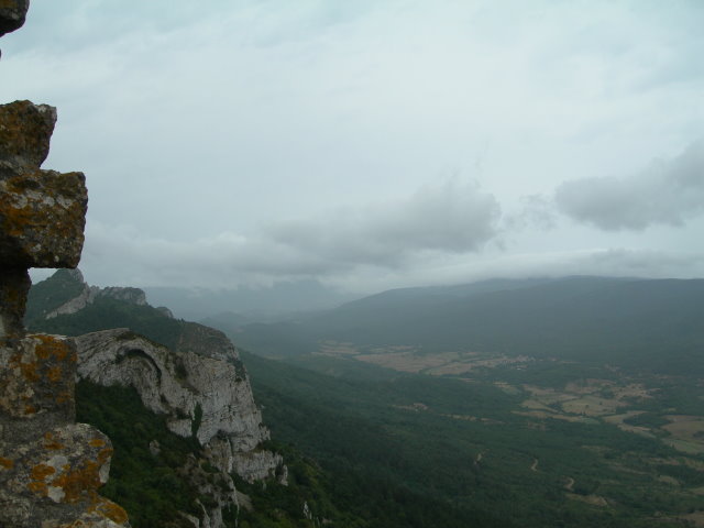 Prugnanes1082.jpg