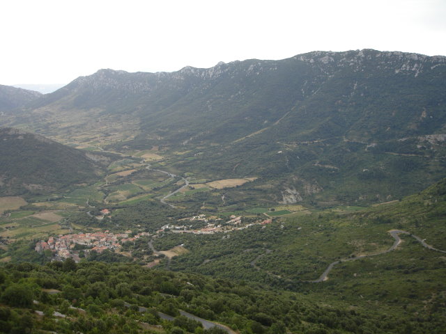 Prugnanes2918.jpg