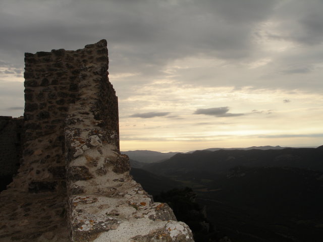Prugnanes2920.jpg