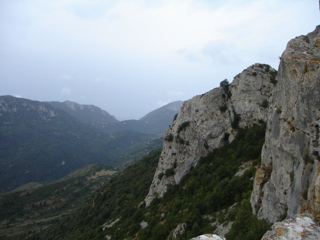 Prugnanes2927.jpg