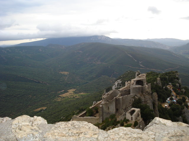Prugnanes78.jpg