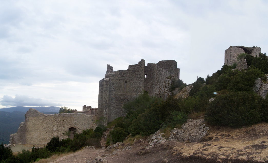 Prugnanes8048.jpg