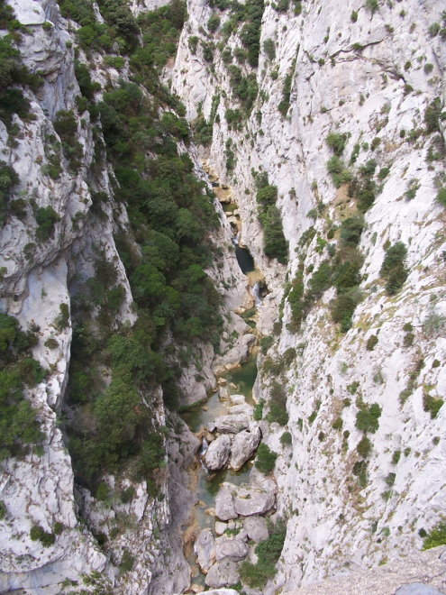 Prugnanes8187.jpg