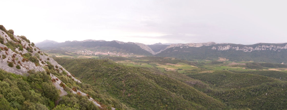 Prugnanes8294.jpg