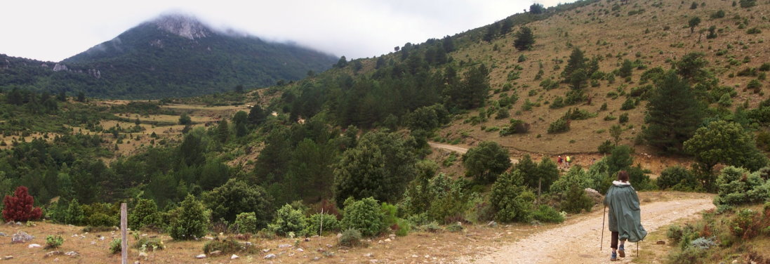 Prugnanes9703.jpg