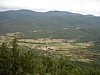 Prugnanes2915.jpg