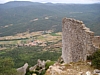 Prugnanes72.jpg