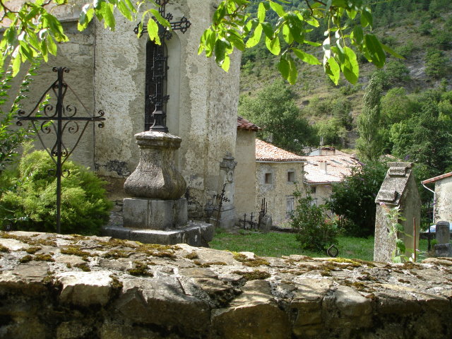 puivert3008.jpg