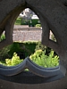 carcassonne1226.jpg