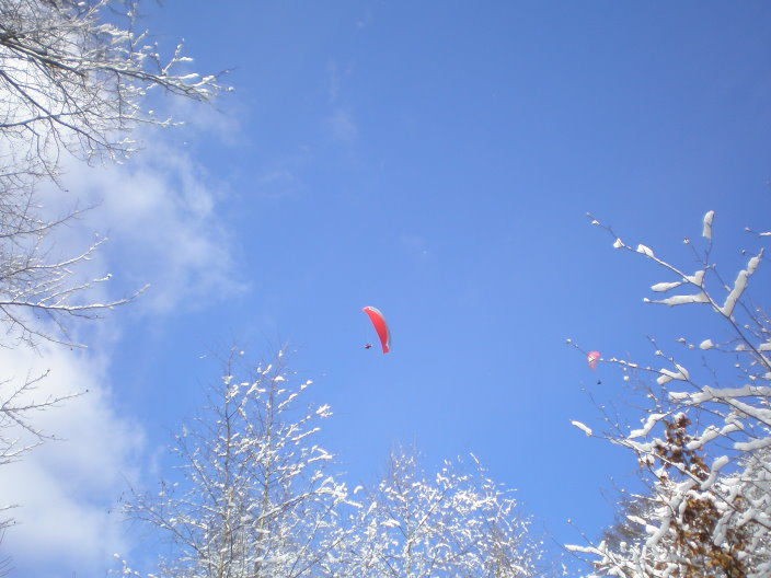 ambleve068.jpg