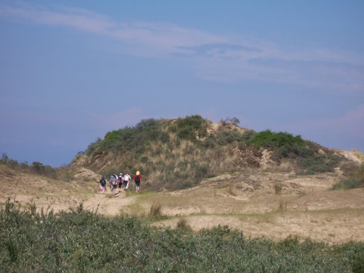 dunes394.jpg