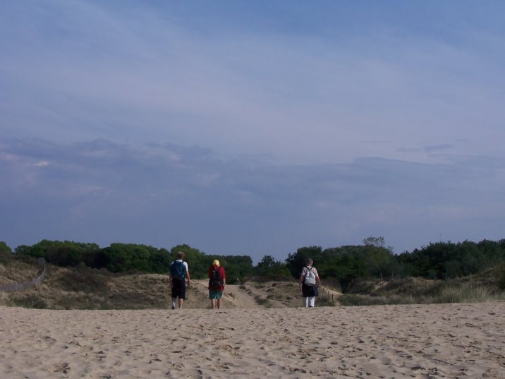 dunes408.jpg