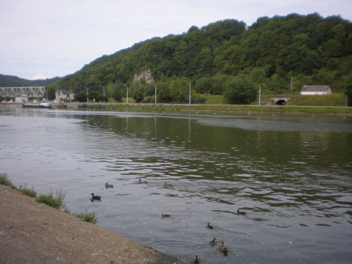 dinant006.jpg