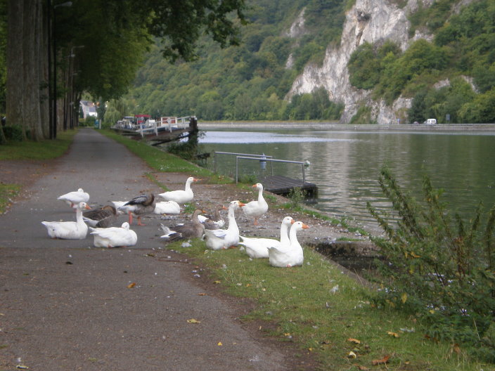 dinant009.jpg