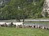 dinant033.jpg