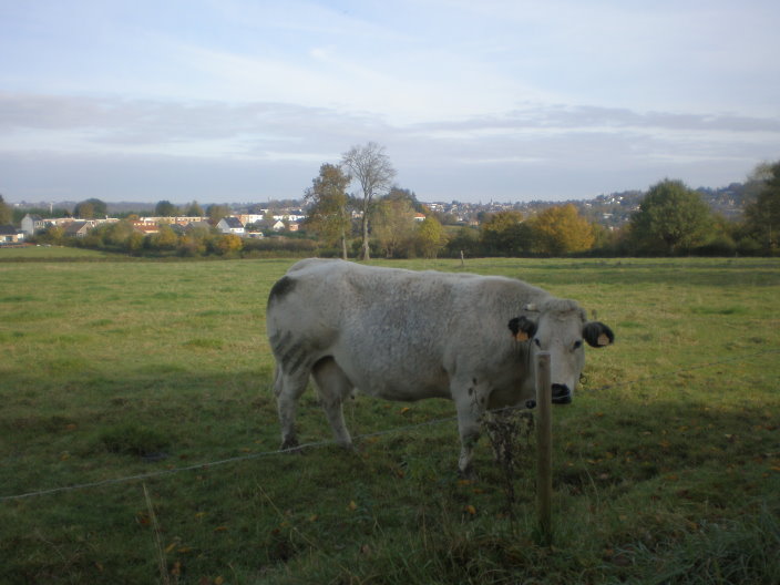 eupen022.jpg